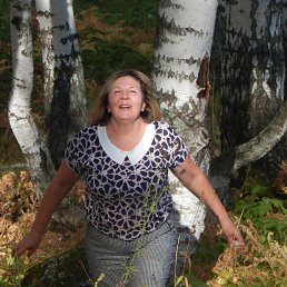 ����, �����������, 71 ���