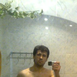 �����, �����