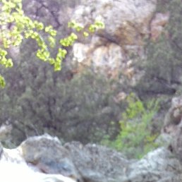 Alexxx31rus, ��������, 47 ���