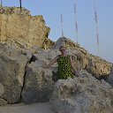 ���� ����, ����, 66 ��� - ��������� 22 ������� 2015 � ������ ���� ����������