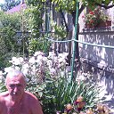 ���� ���������, �����������, 66 ��� - ��������� 20 ��� 2015 � ������ ���� ����������