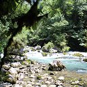 ���� ������, �������, 48 ��� - ��������� 25 ���� 2015 � ������ ���� ����������