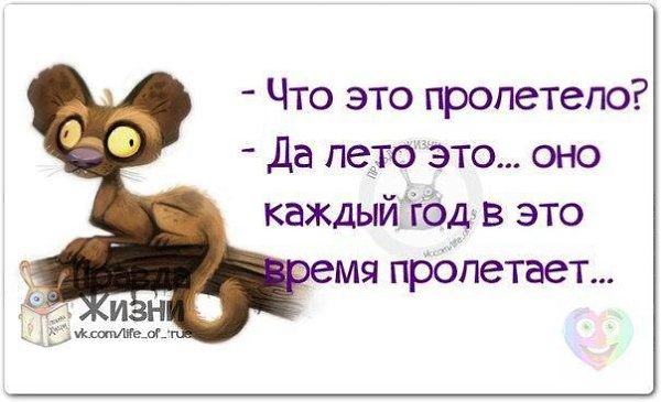   :D - 29  2015  10:13