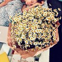 ���� ������, ������������ - ��������� 9 ������� 2015 � ������ ������ ��������