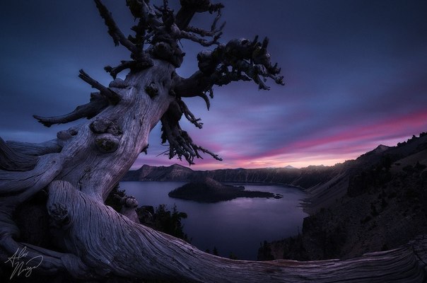  Alex Noriega - 4