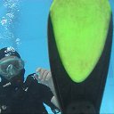 ���� ������, �����-���������, 60 ��� - ��������� 7 ���� 2015 � ������ ���� ����������