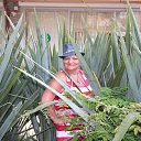 ���� ������, ������, 55 ��� - ��������� 3 ������� 2015 � ������ �� � �������