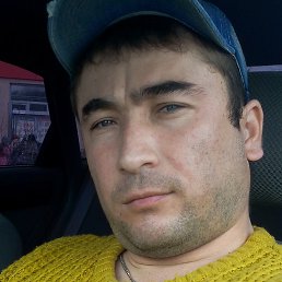 ������, �����-���������, 40 ���