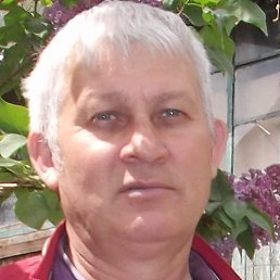 �������, ������������, 62 ����