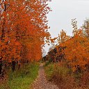  ,  -  8  2015      .