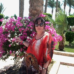 ������� ����2015