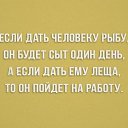 ���� ����, ����, 41 ��� - ��������� 3 ���� 2015 � ������ ���� ����������