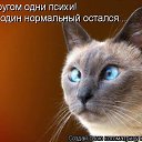 ���� �������, ������� - ��������� 19 ������� 2015 � ������ ������ ��������