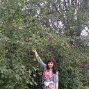  Js, , 46  -  22  2015    