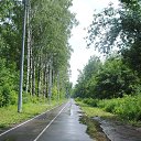 ���� ������, ������, 49 ��� - ��������� 5 ���� 2015 � ������ �����������