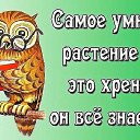 ���� �������, �����-���������, 57 ��� - ��������� 16 ��� 2015
