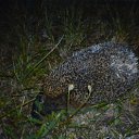 ��. �������� ������53&deg;5114N (53.853954)�������27&deg;3713E (27.620177) - �� ������ ����� �������� ������� � ������ �� ������� ��������� ����һ