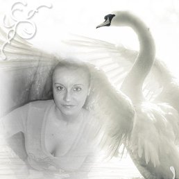 ������777, ������, 43 ����