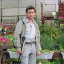 ���� ������, ���� - ��������� 31 ������� 2015 � ������ ���� ����������