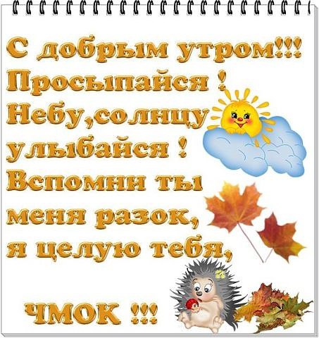 С Добрым утром!!! Привет, привет! Хорошего денька!Спокойного от всех житейских трений. Пусть станет ...