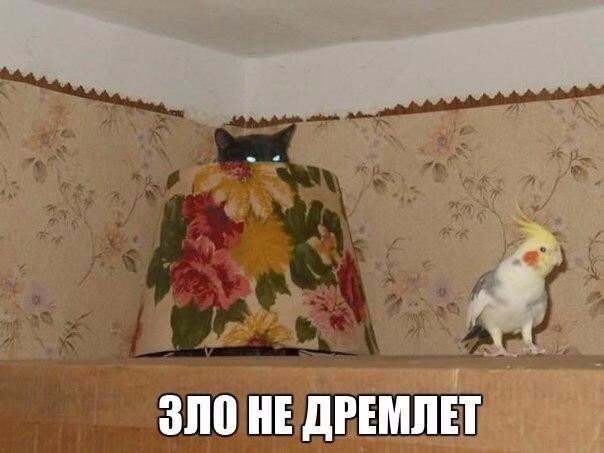    :-) - 1  2015  08:20