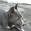 ���� ������, ������, 48 ��� - ��������� 3 ���� 2015 � ������ ������ ��������