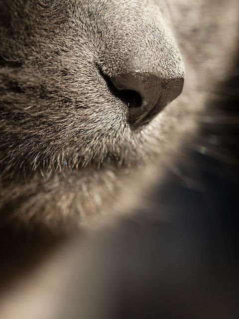 ��� ���� � ����� �� �� - 5 ���� 2015 � 00:30