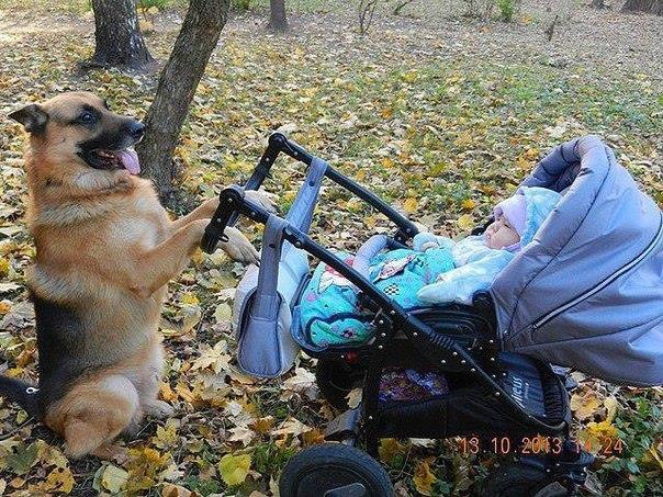 ��� - ������ - ���... ��� �� ����� ���� ����...