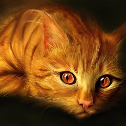 ���� �����, ������, 57 ��� - ��������� 16 ��� 2015