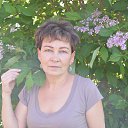 ���� ������, �����, 68 ��� - ��������� 27 ���� 2015 � ������ ���� ����������