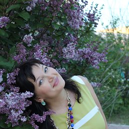 ���� �������� ������� ��������, ������������, 56 ��� - ��������� 16 ���� 2015