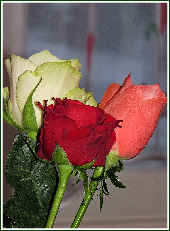 ����, �� ������ �������� - �� �� ������ �� ����. �� ������ �� ����������� ������� �� ����. ���� ��� ...