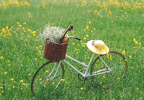 ¨       , ܨ! ,      ,  ...