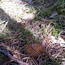  , , 61  -  2  2015   1  2013    ()