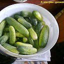 ���� �����, �������������, 80 ��� - ��������� 20 ������� 2015 � ������ ���� ������
