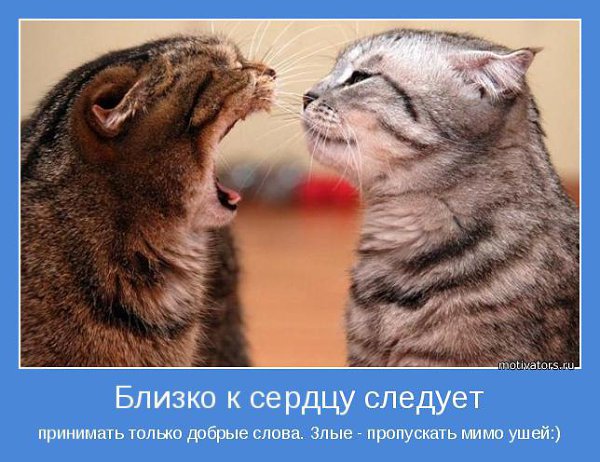   ... - 15  2015  16:32