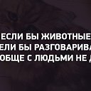 ���� �����, �������, 37 ��� - ��������� 23 ������ 2015 � ������ ������ ��������