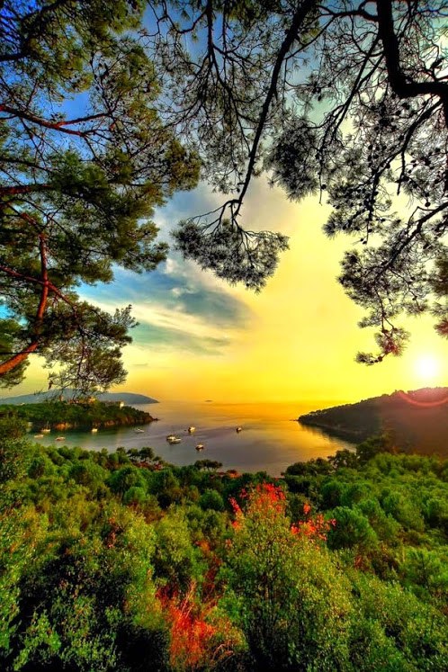 Стихи, Цитаты, Мысли. - 22 июня 2015 в 02:23