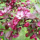 ���� ������� - �� ��������!, �������� - ��������� 28 ���� 2015 � ������ ���� ������