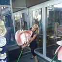 ���� ������, ������� - ��������� 29 ������� 2015 � ������ ���� ����������