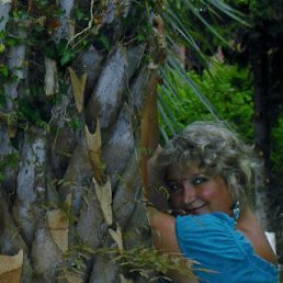 ���� �����, �������, 48 ��� - ��������� 7 ���� 2015