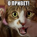 ���� ��, ������� - ��������� 6 ������� 2015 � ������ ������ ��������