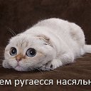 ���� �����, ������������ - ��������� 22 �������� 2015 � ������ ���� ����������