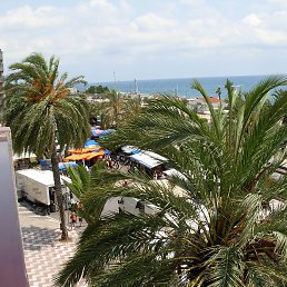 ��������, �����, 71 ���