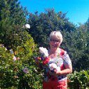 ���� �����, �����-���������, 77 ��� - ��������� 23 ������� 2015 � ������ ���� ����