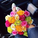 ���� �����, �������� - ��������� 1 ���� 2015