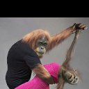 ���� ���-����, ������, 39 ��� - ��������� 3 ������� 2015 � ������ ���� ����������