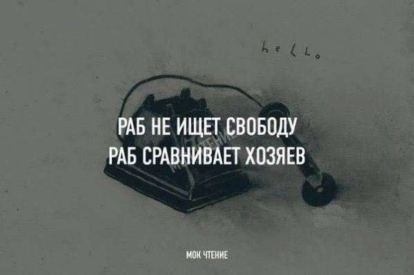 BEST | , ,  - 12  2015  15:35