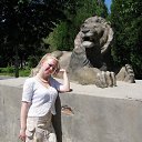 ���� �����, ������, 43 ���� - ��������� 8 ��� 2015 � ������ ������ ��������