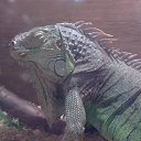 ���� �����, ������ - ��������� 27 ���� 2015 � ������ ���� ����������